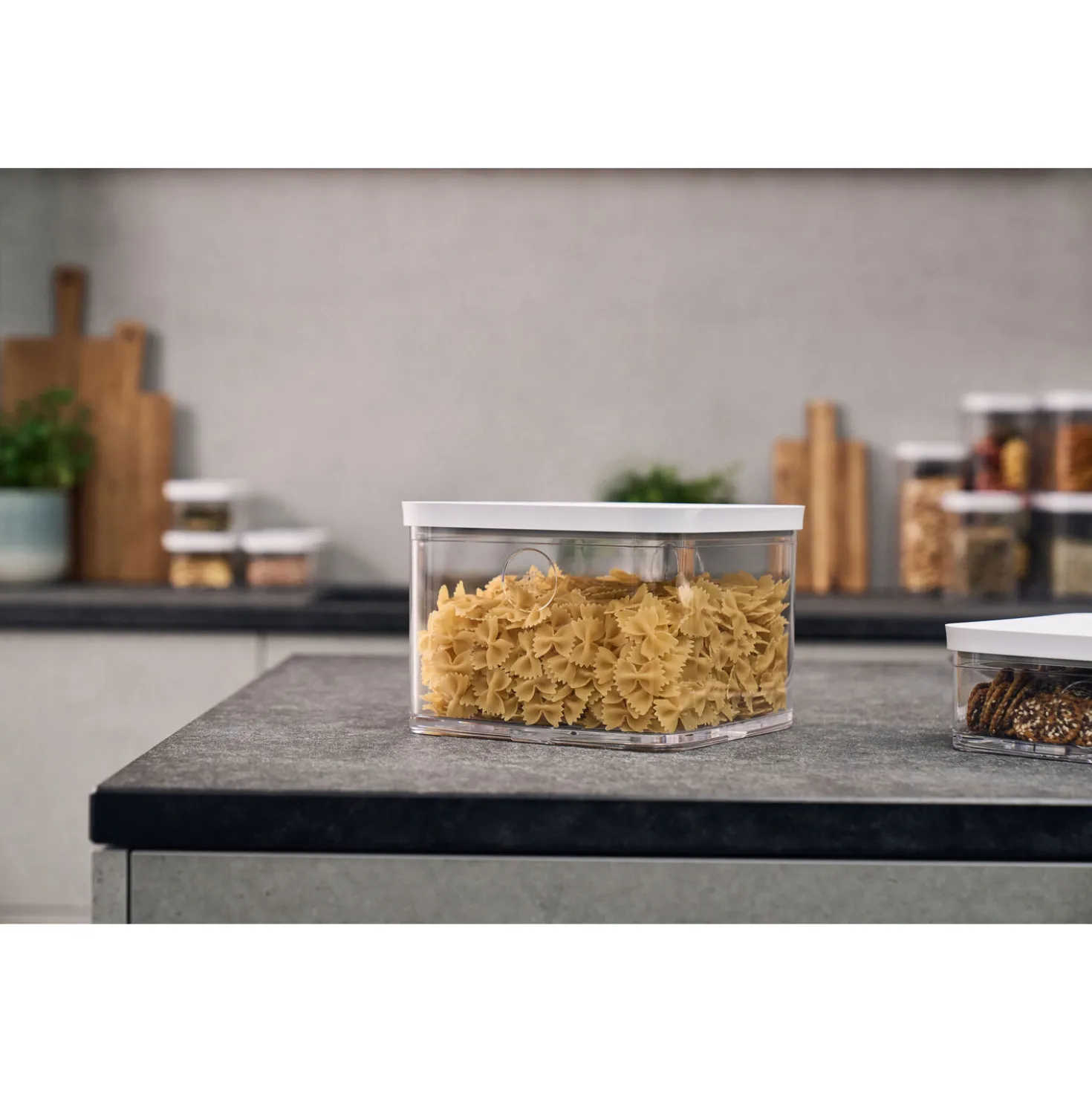 CUBE Box 2L / 21 cm, Transparent-Weiß