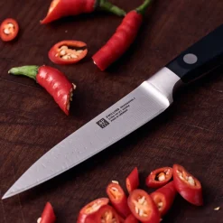 Spick & Garniermesser 10 cm