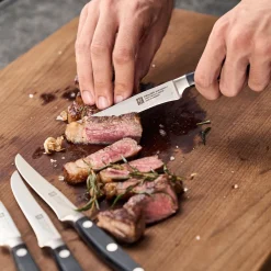 Steakmesserset 4-tlg