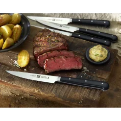 Steakmesserset 4-tlg