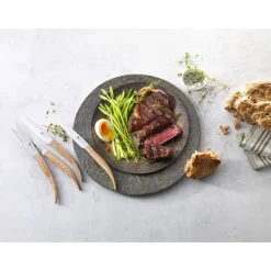 Steakmesserset 4-tlg