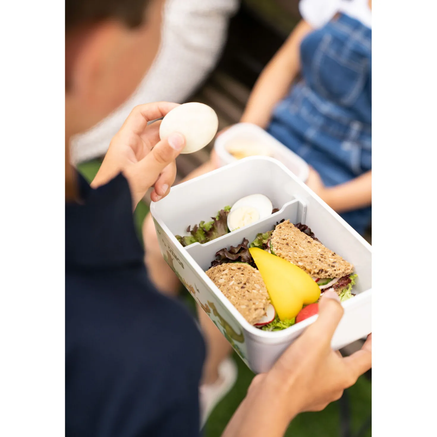 Vakuum Lunchbox DINOS L, Weiß-grau